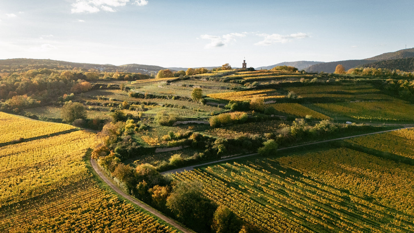 Fuchsmantel Riesling