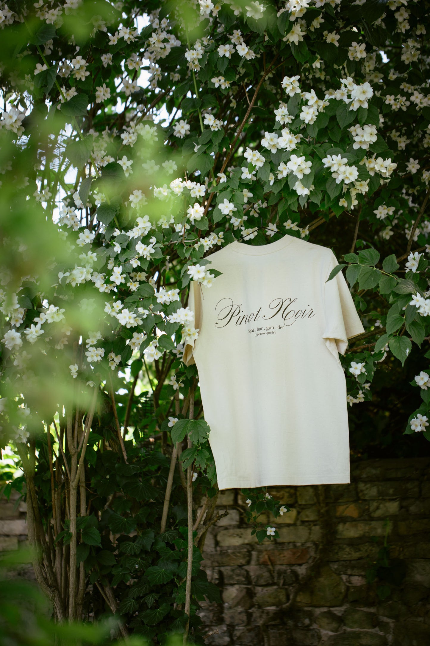 T-Shirt "Pinot Noir" Oversize